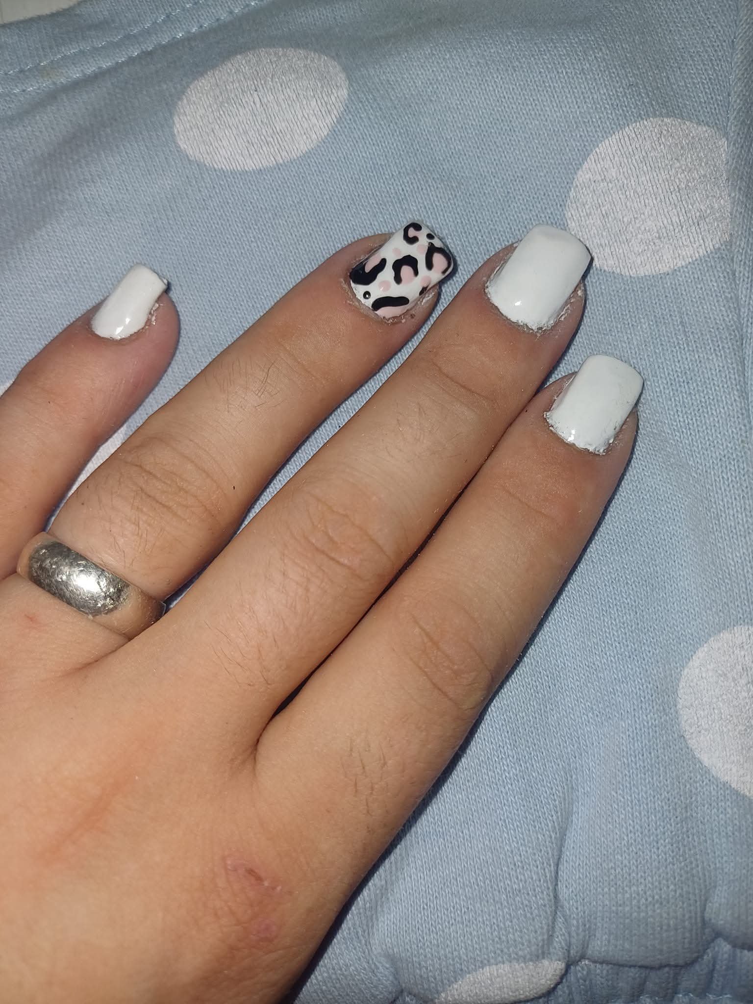 Timea zsuzsa Ambrus portfolio