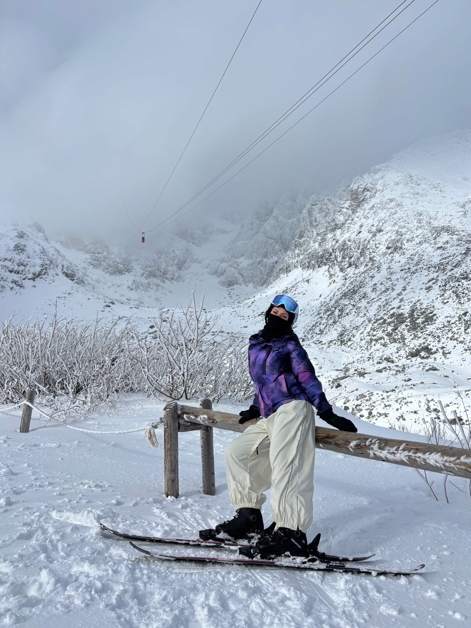 Vincze Melinda portfolio