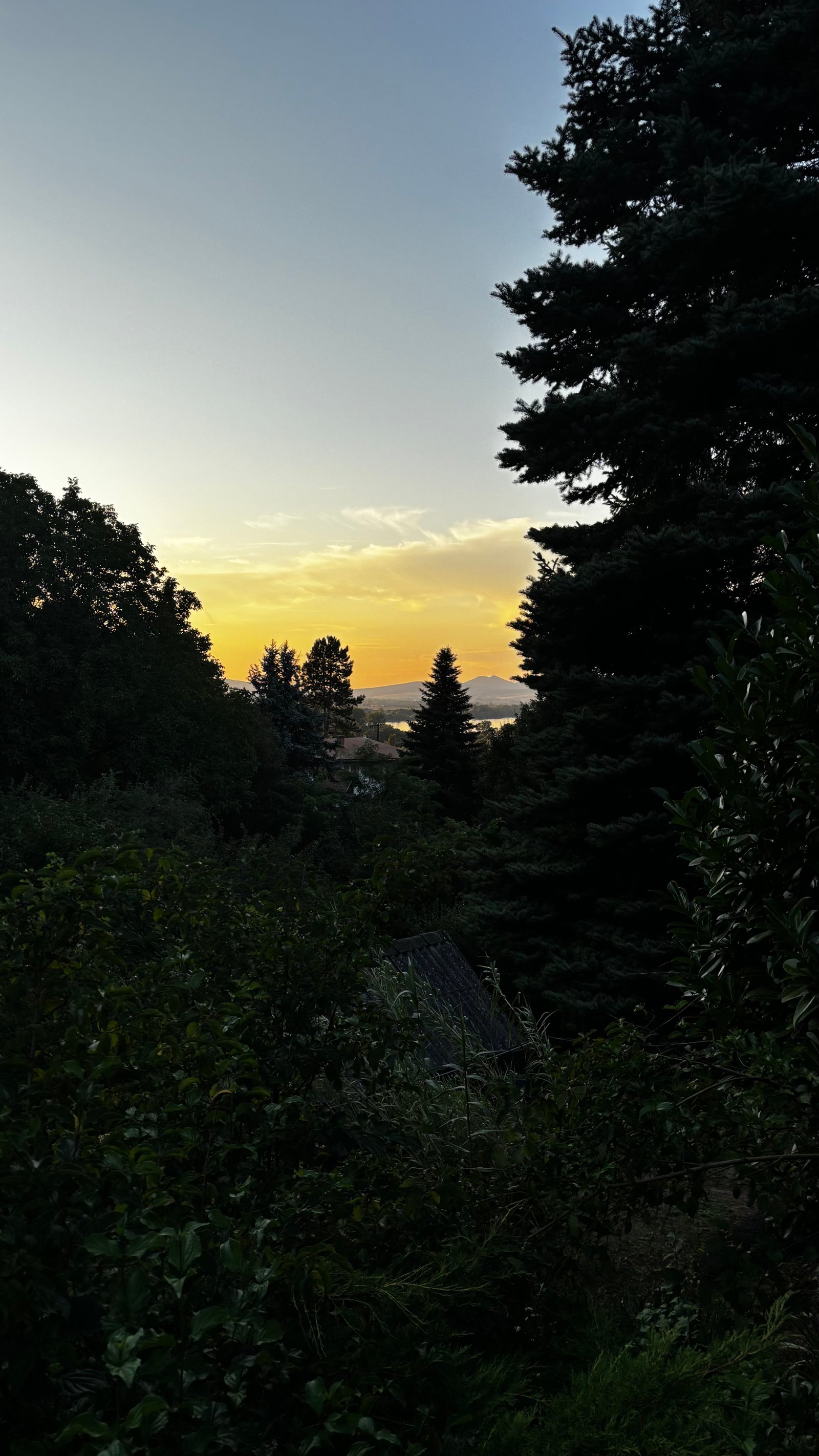 Papp Edina portfolio