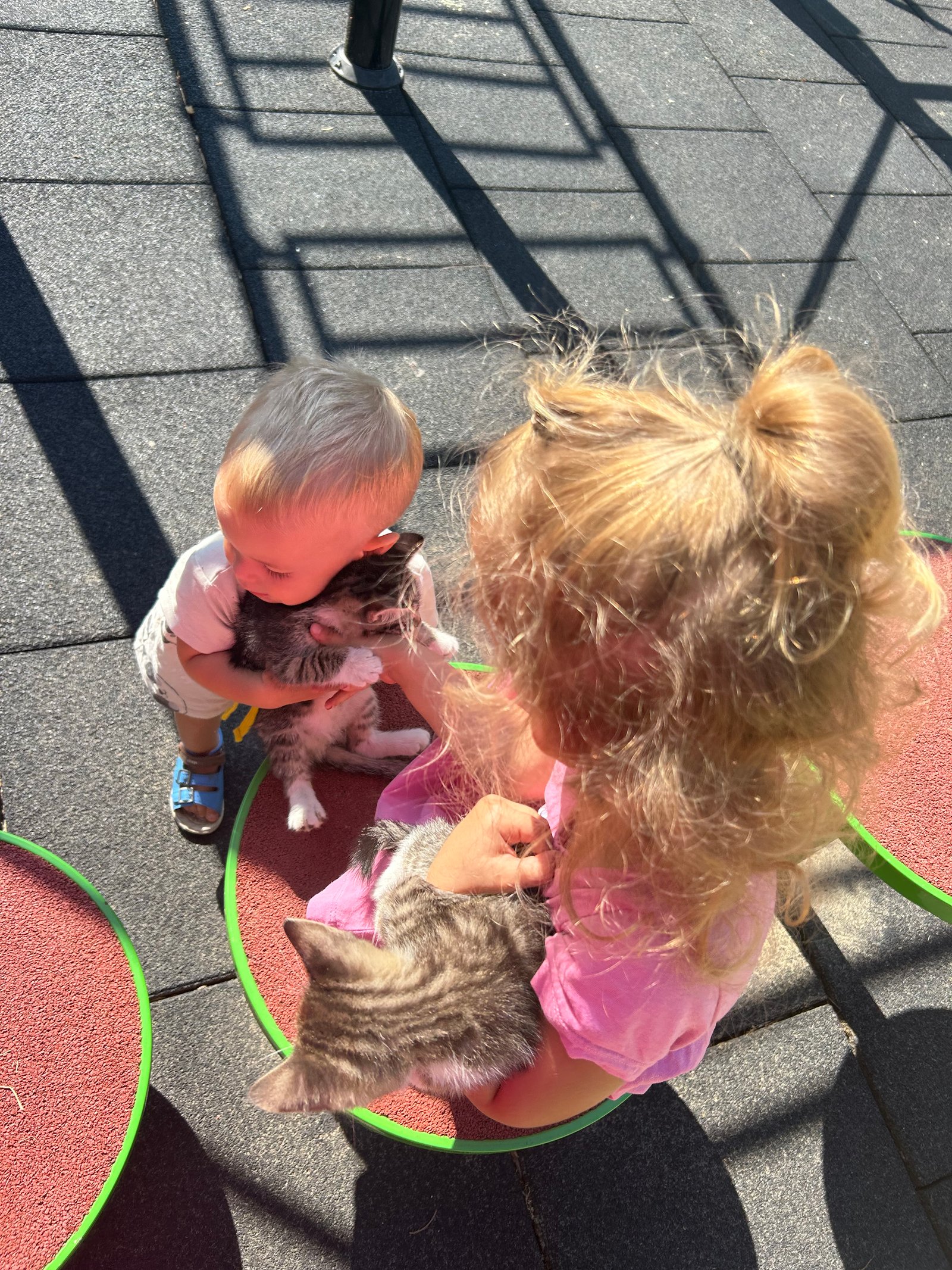 Szabó-Lantos Henrietta portfolio