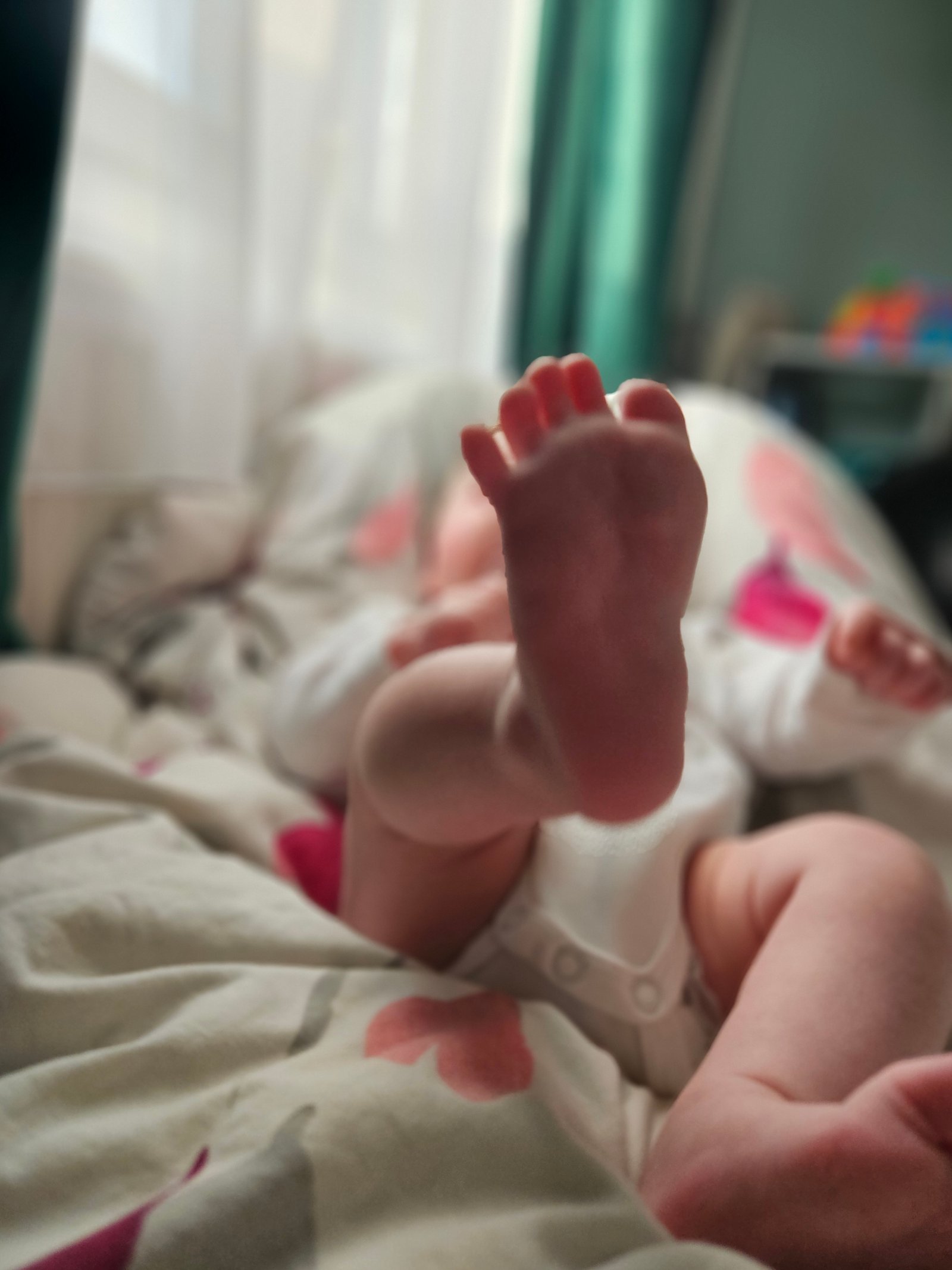 Lőrinczy-Sáfrány Lívia portfolio