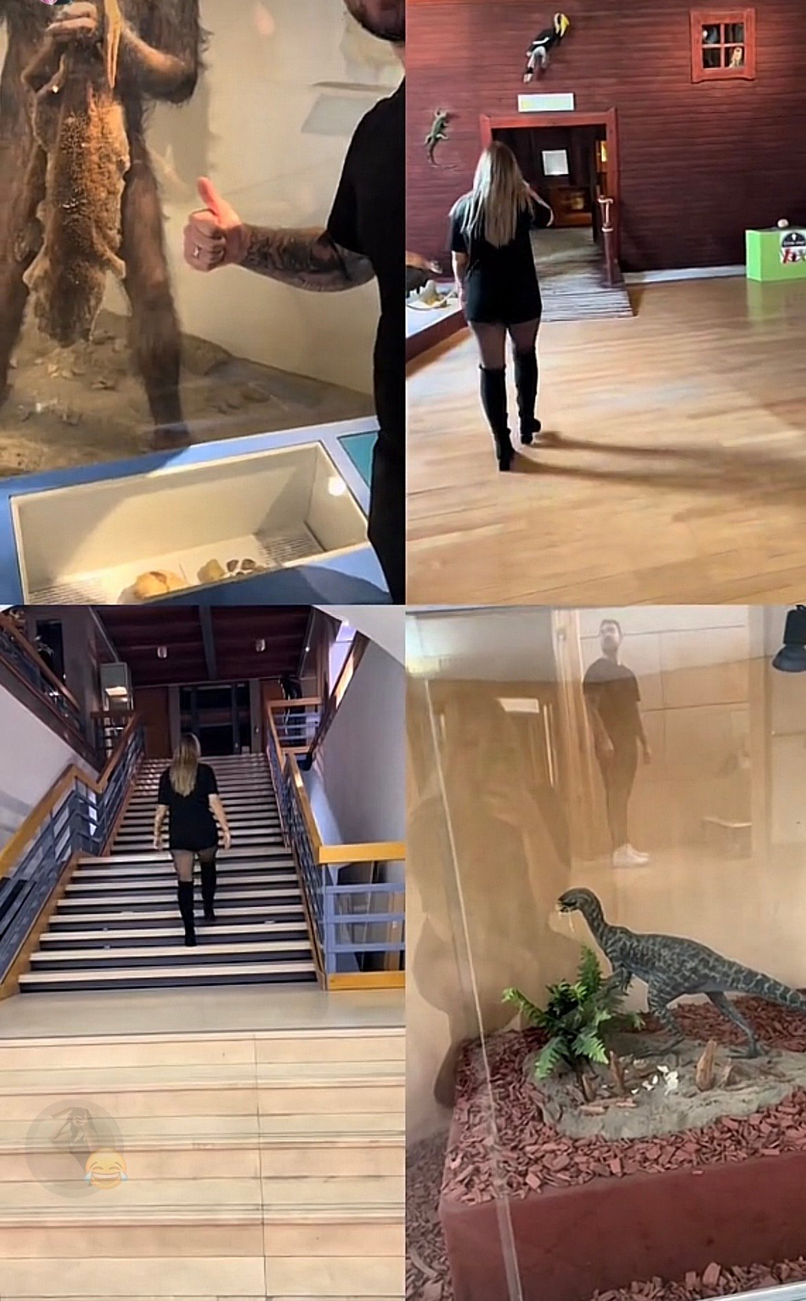 Leskó Laura portfolio