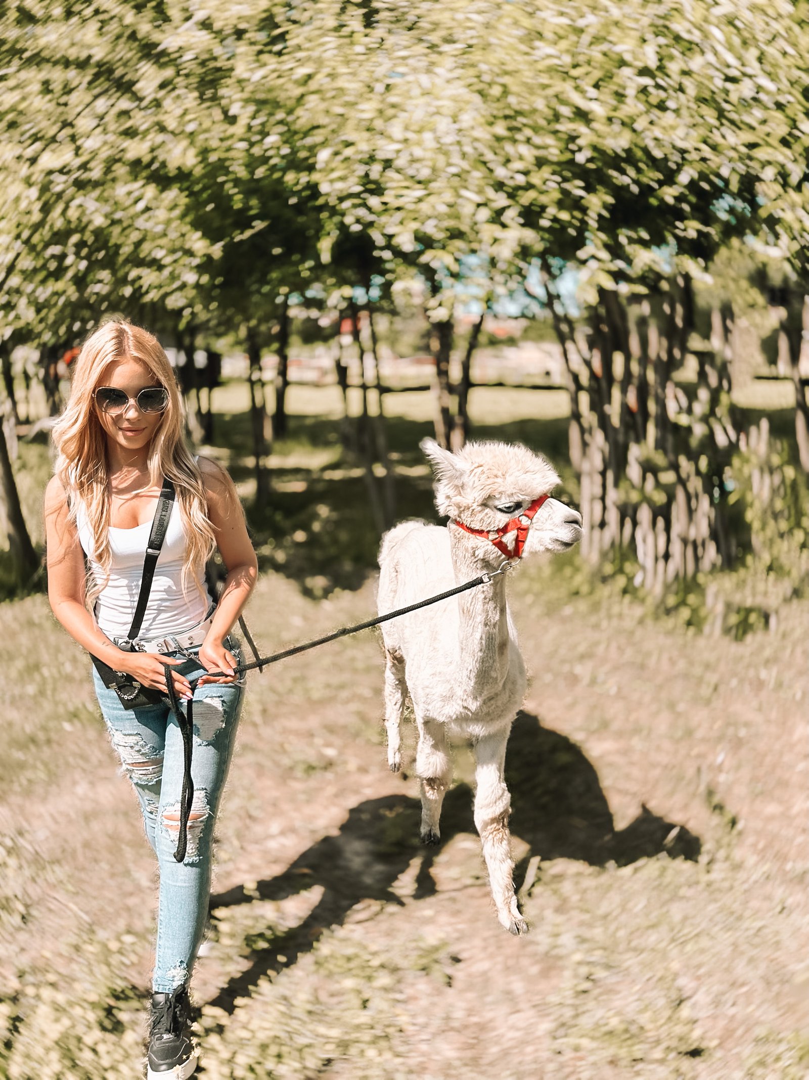 Varga Vivien portfolio