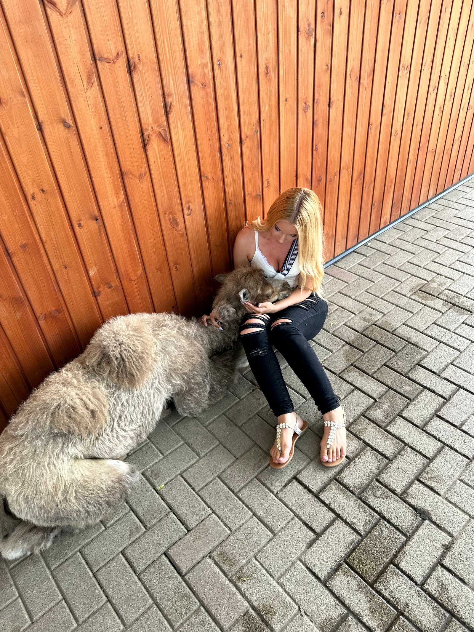 Varga Vivien portfolio