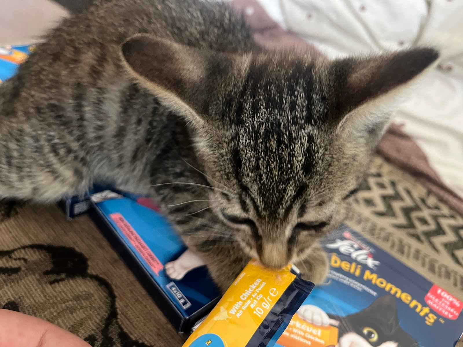 Bolyós Enikő portfolio