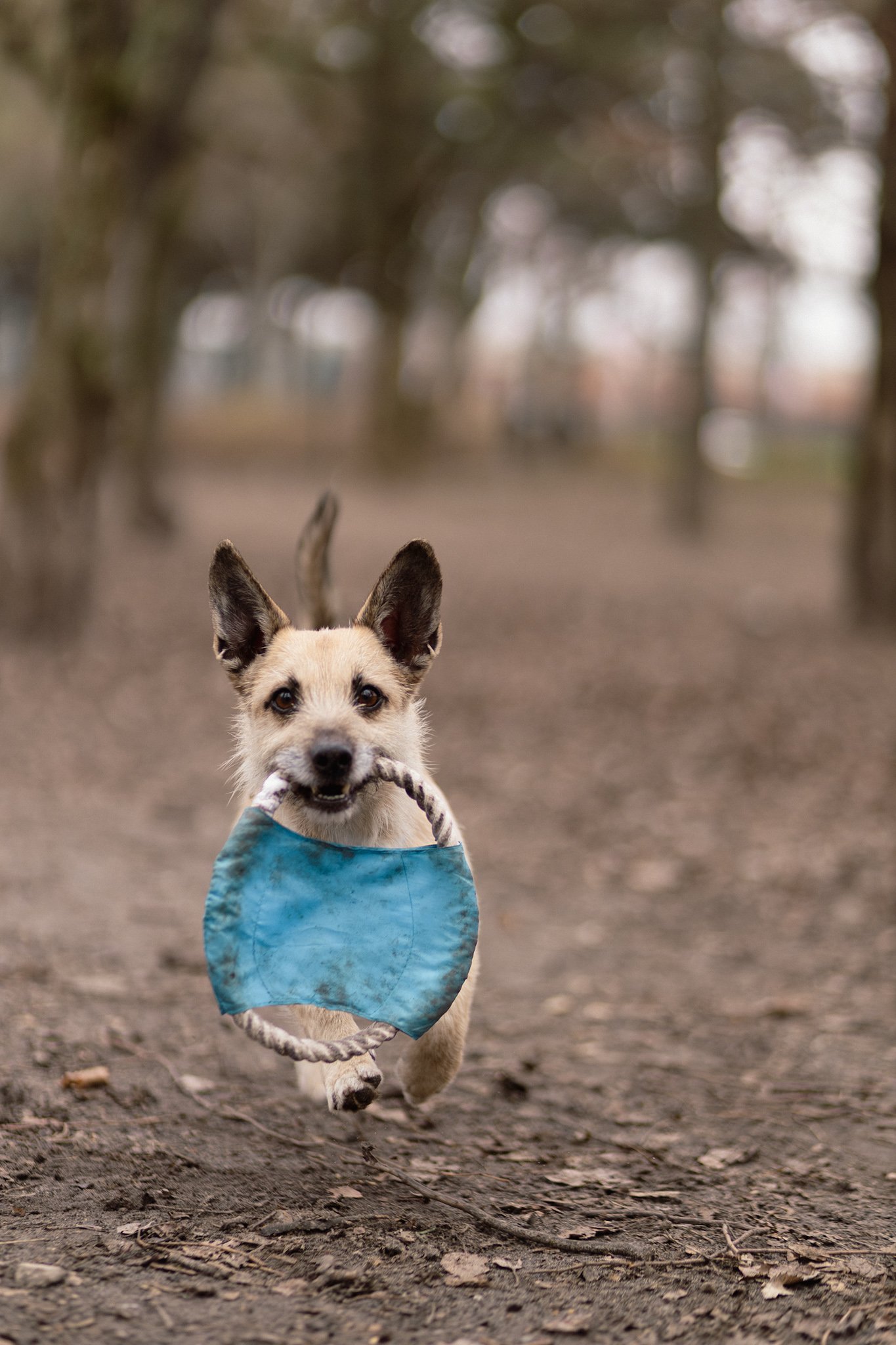 Kiss Fruzsina portfolio