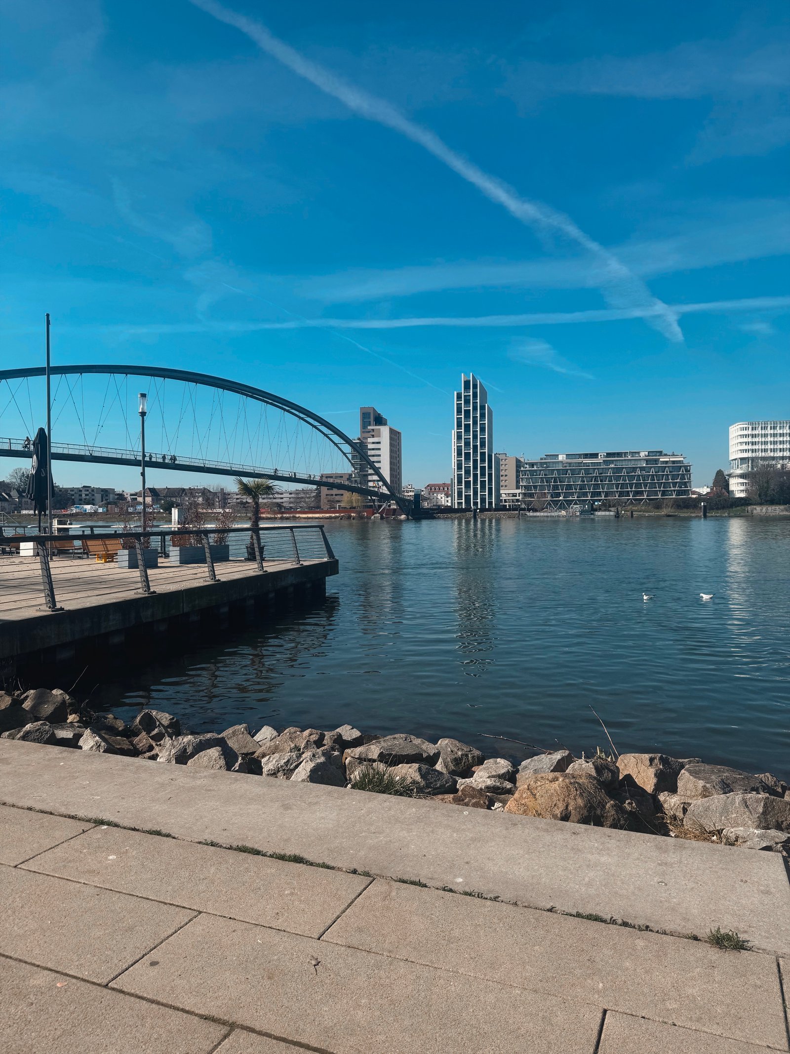 Bernadeta Petényiová portfolio