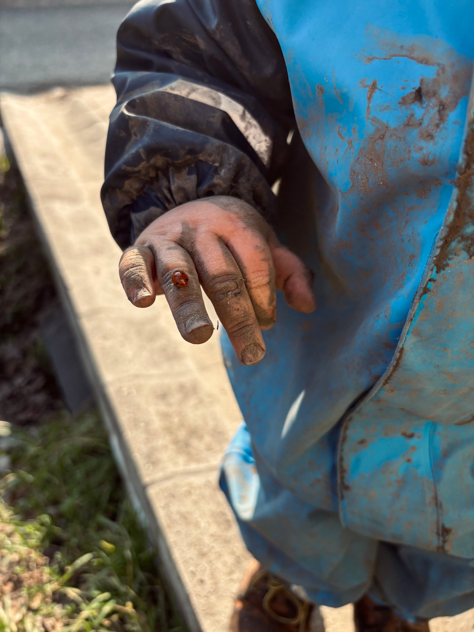 Forgóné Kecskeméti Enikő portfolio