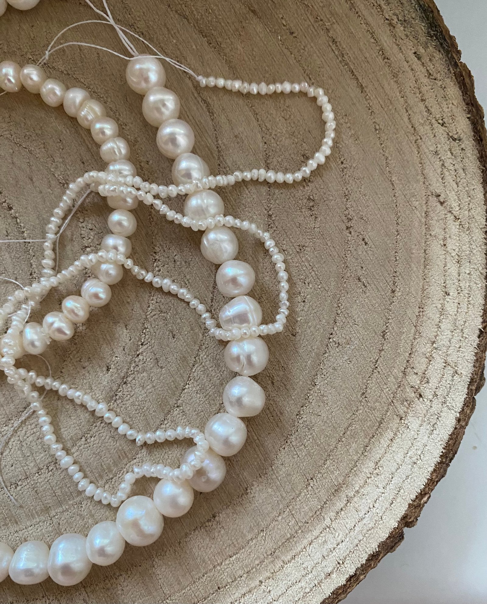 Palotás Bianka Fanni portfolio