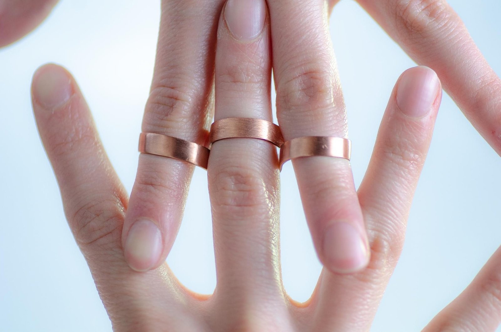 Palotás Bianka Fanni portfolio