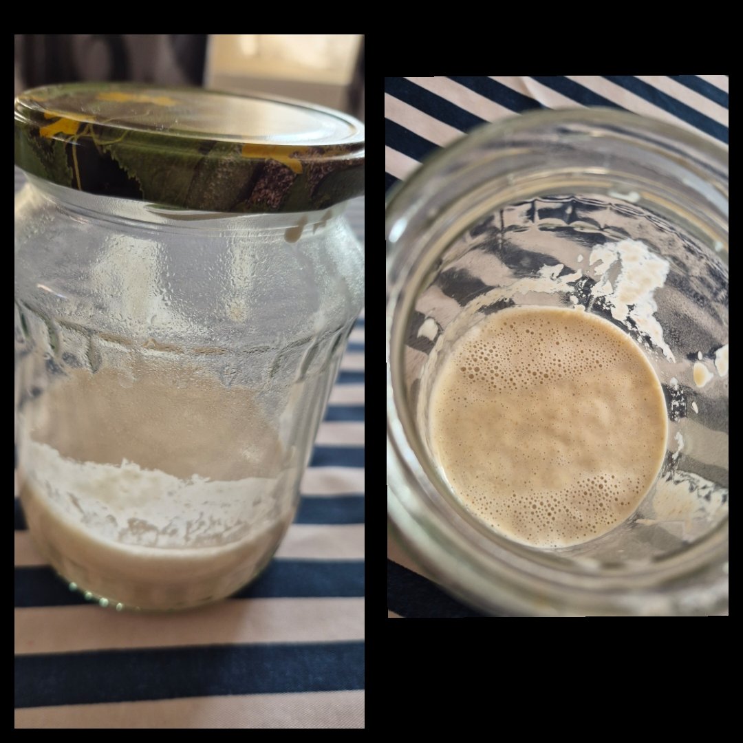 Pelyváné Szabó Katalin portfolio