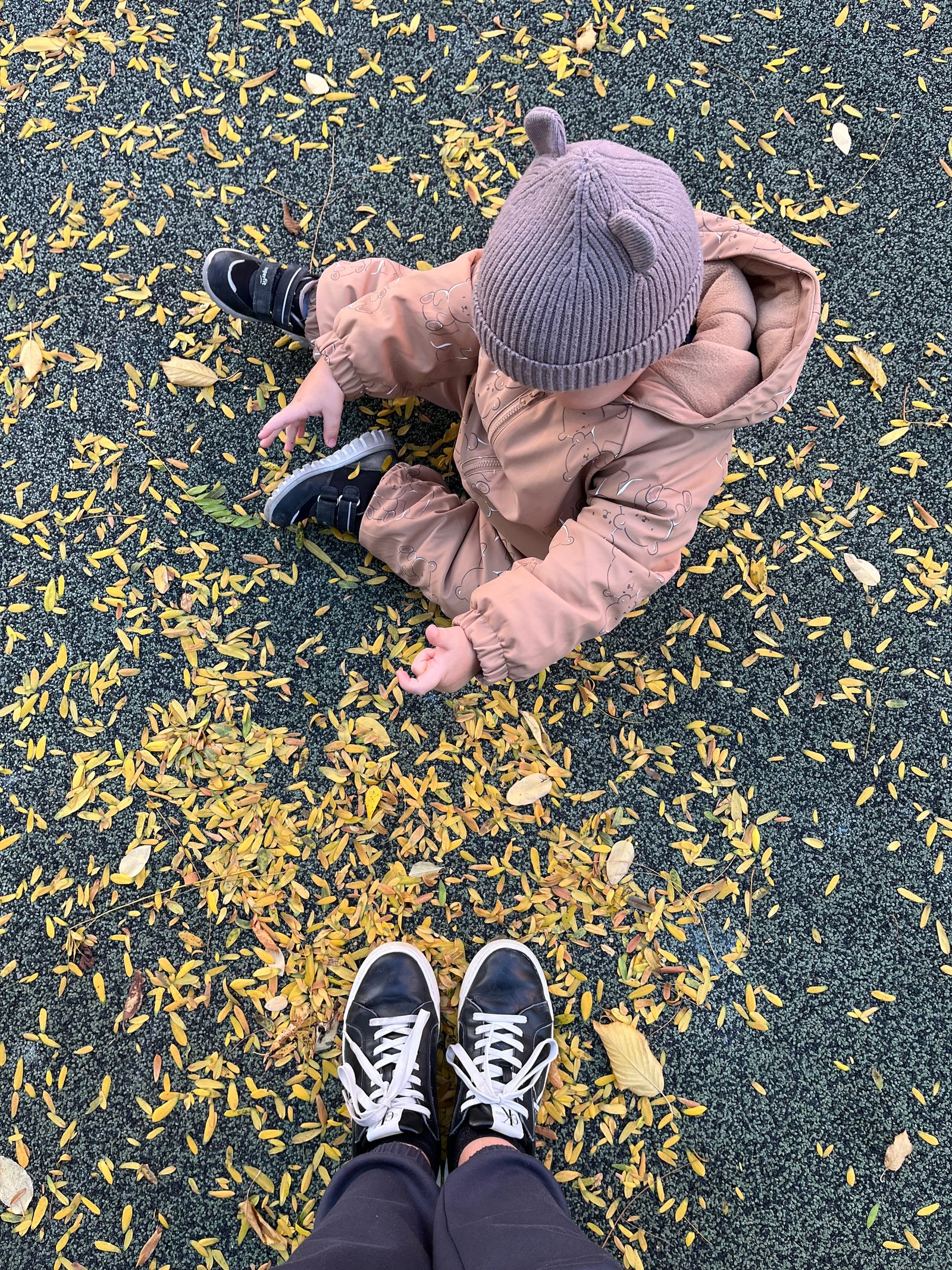 Dombi Mariann portfolio