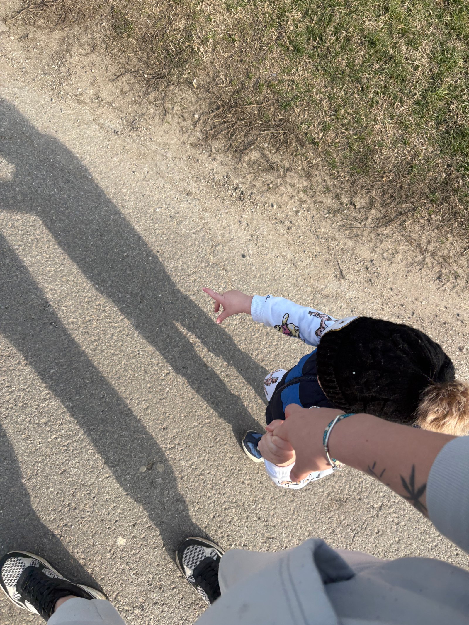 Simon Bonita portfolio