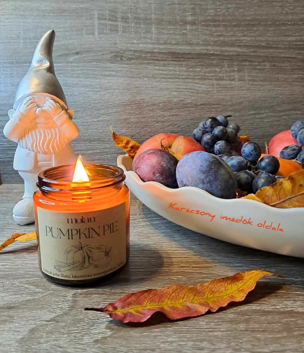 Kicsindi Melinda portfolio