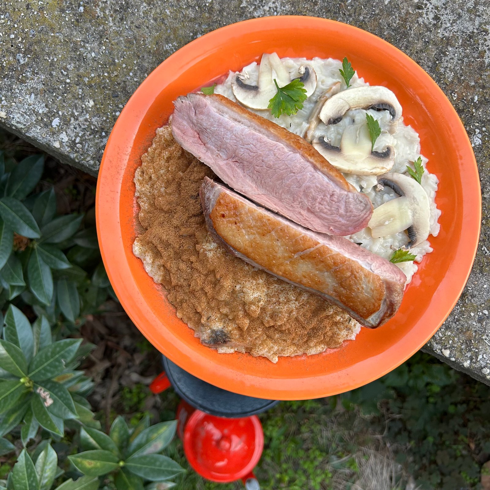 Szántóy Domonkos portfolio