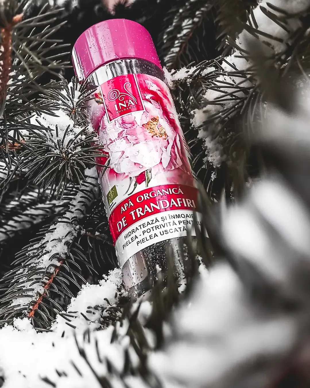 Kerner Henriette portfolio