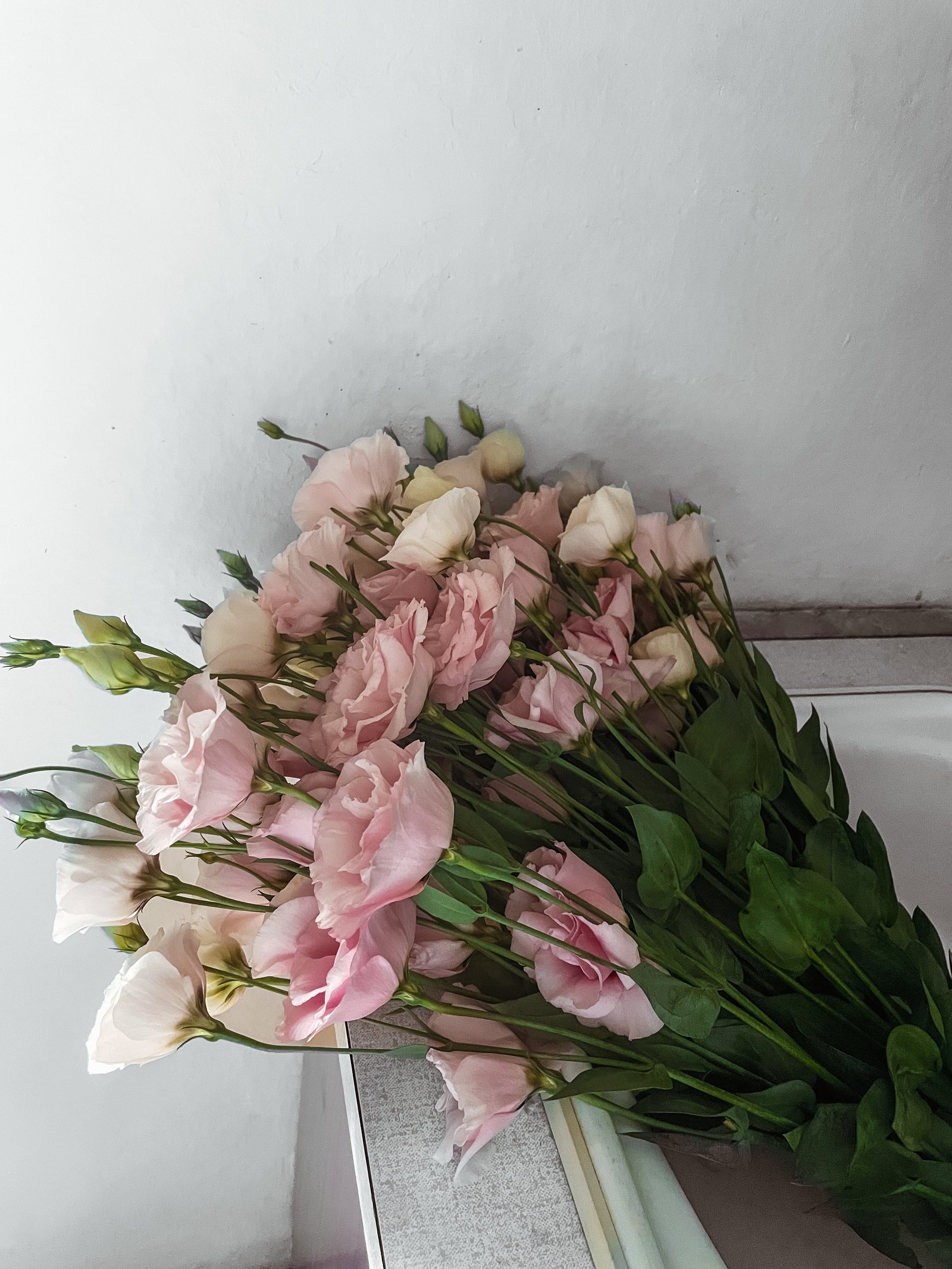 Lustyik Nóri portfolio