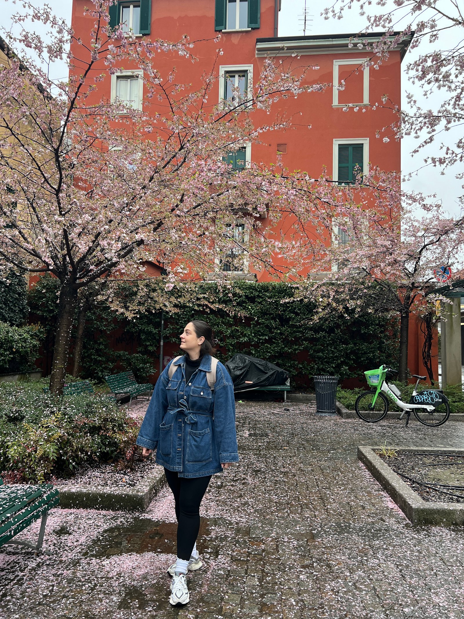 Papp Réka portfolio