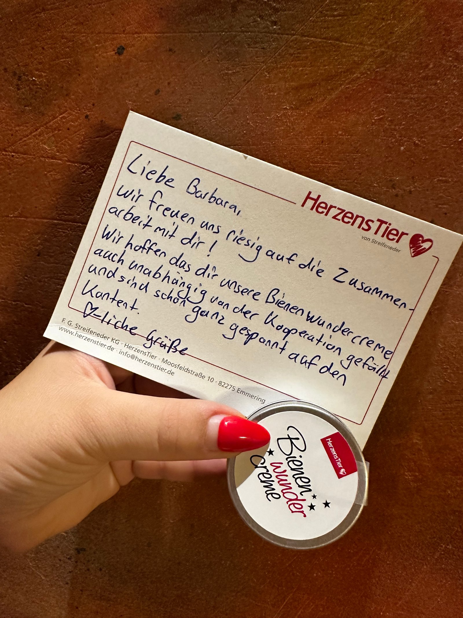 Bálint Barbara portfolio