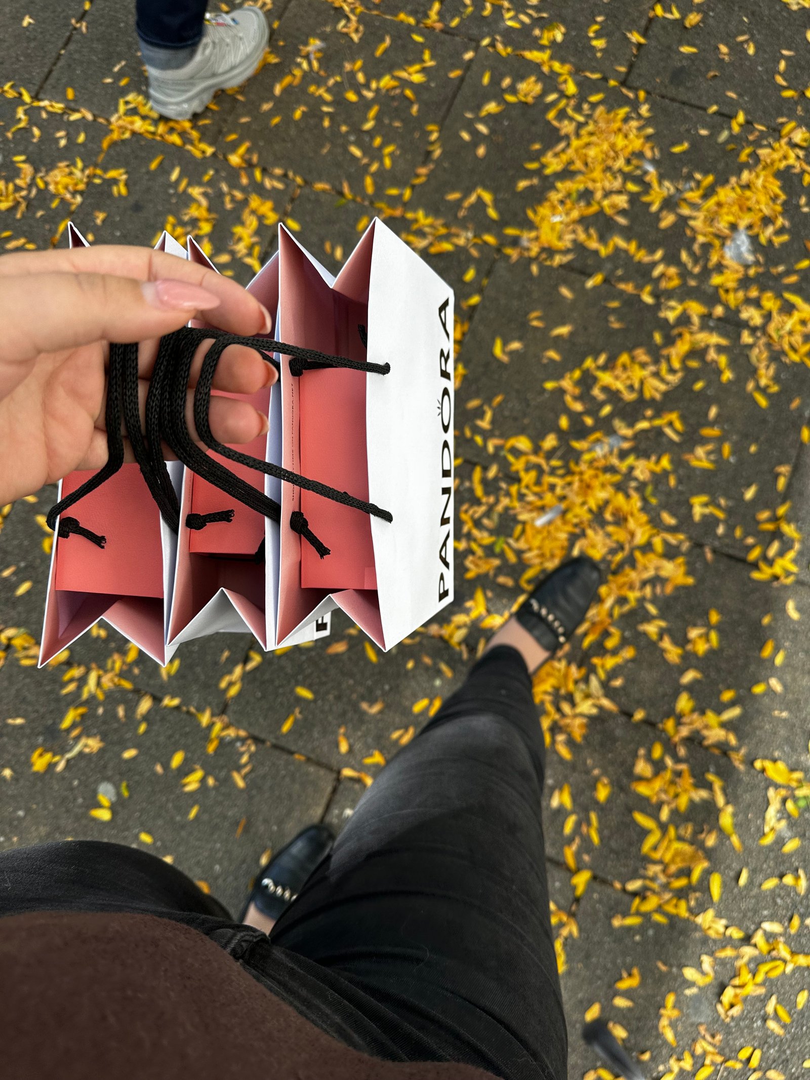 Bálint Barbara portfolio