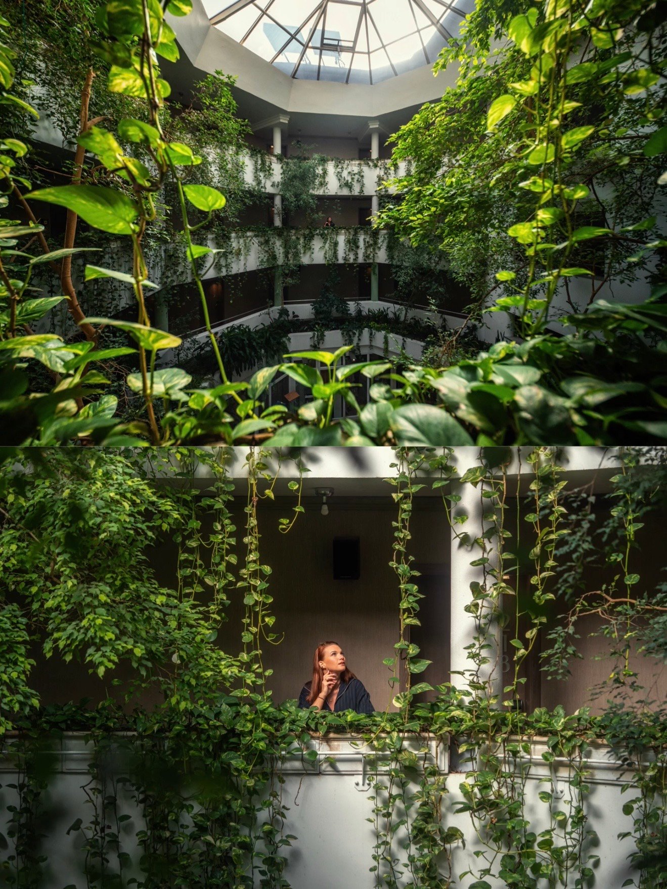 Göbölyös Ágnes portfolio