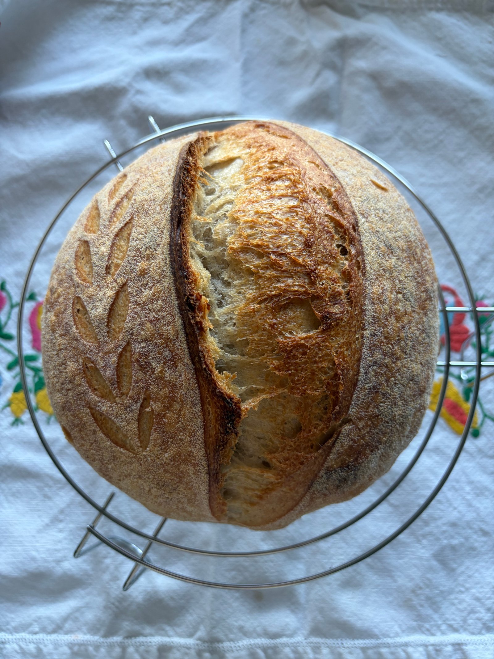 Szklenár Dominika portfolio