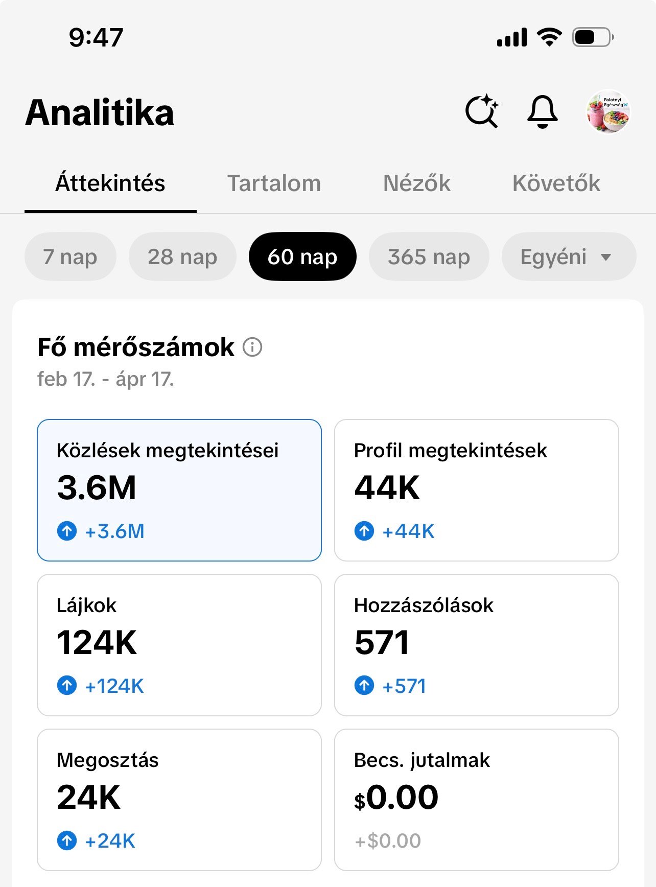 Udvari Gitta portfolio
